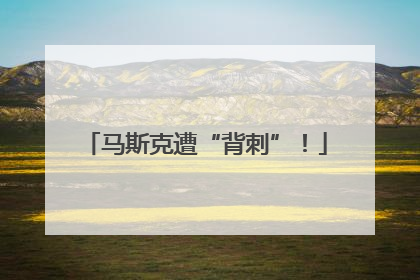 马斯克遭“背刺”！